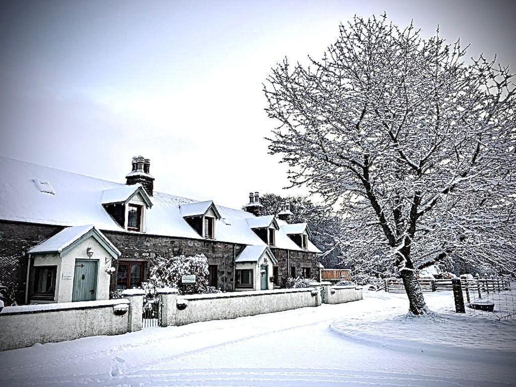 Rosemount Bothy - Highland Cottage Гарв Экстерьер фото